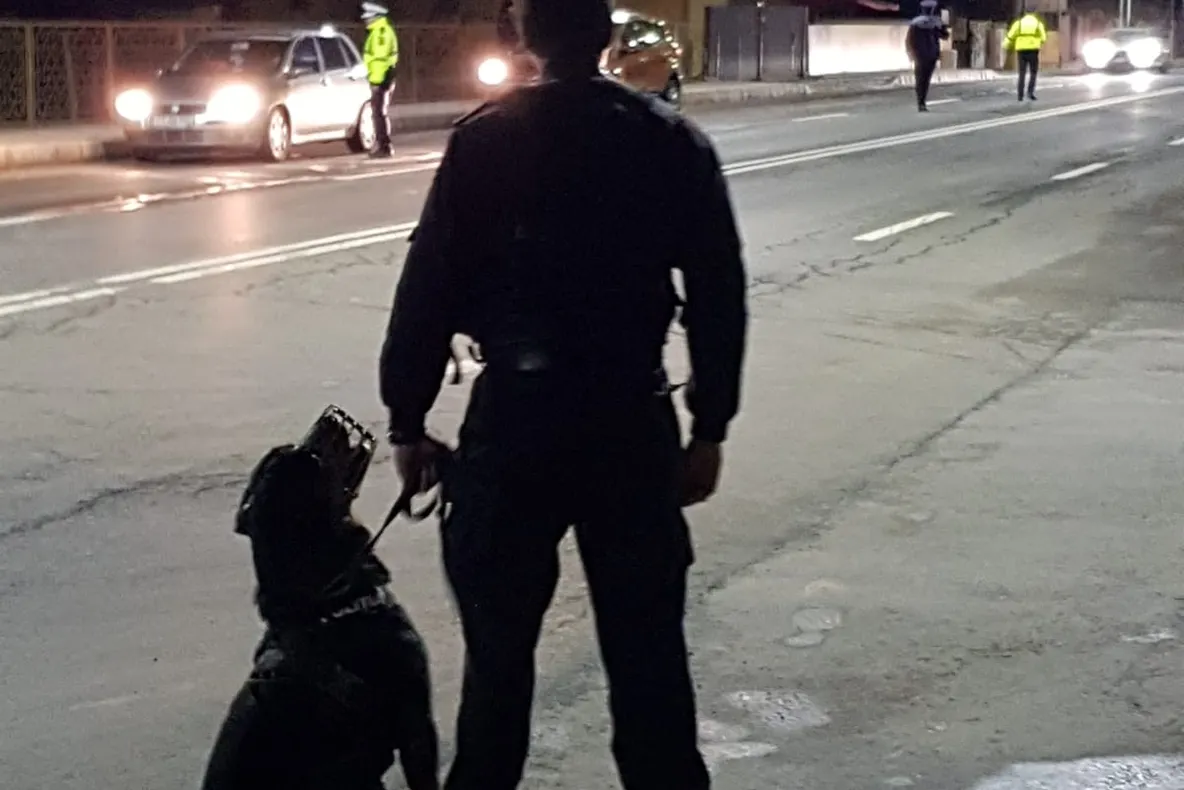 Șase fete obligate să se prostitueze, eliberate de poliţiştii constănțeni