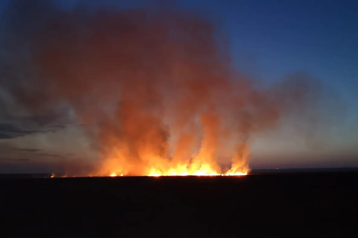 VIDEO| Incendiu de proporții la Vadu. Ard 200 de hectare de vegetație uscată