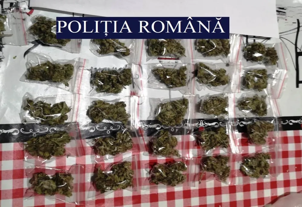 Percheziții la traficanții de droguri. Unde au descins polițiștii