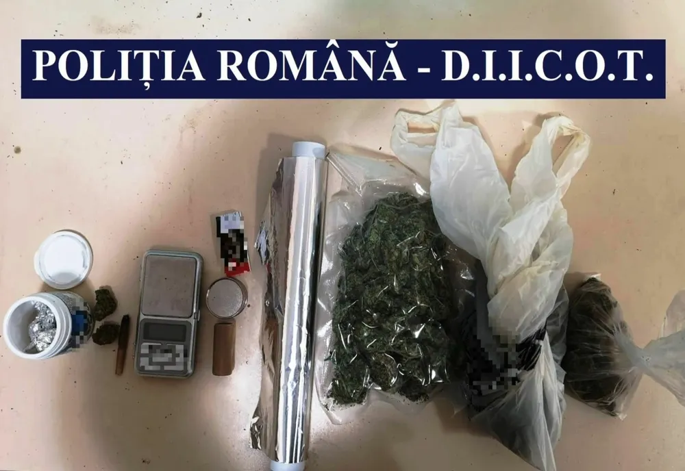 VIDEO Percheziții la Constanța. Grupare de traficanți de droguri destructurată de mascați