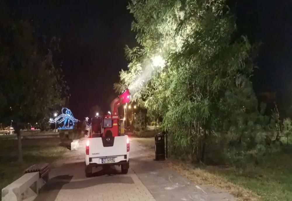Primăria Constanța început stropirea copacilor împotriva dăunătorilor și acțiuni de dezinsecție