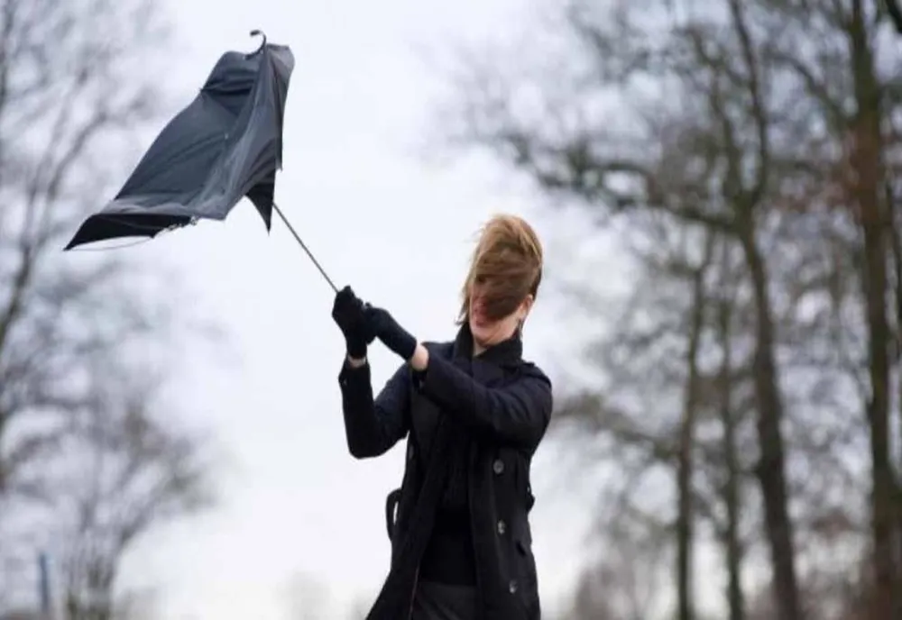 Alertă meteo. Cod galben de VÂNT pentru județele Constanța și Tulcea