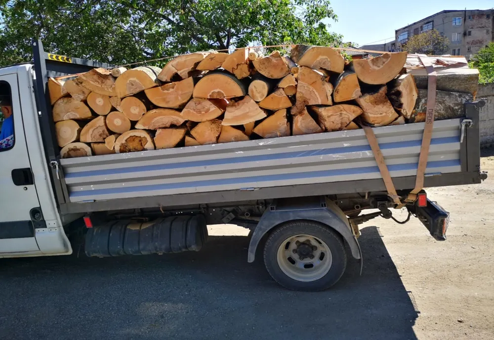 S-a ales cu dosar penal pentru tăiere ilegală de arbori