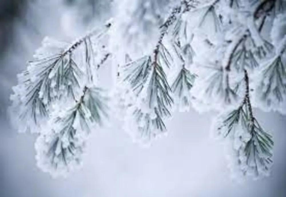 Cum va fi vremea de Crăciun şi Revelion. Prognoza meteo pentru următoarele patru săptămâni