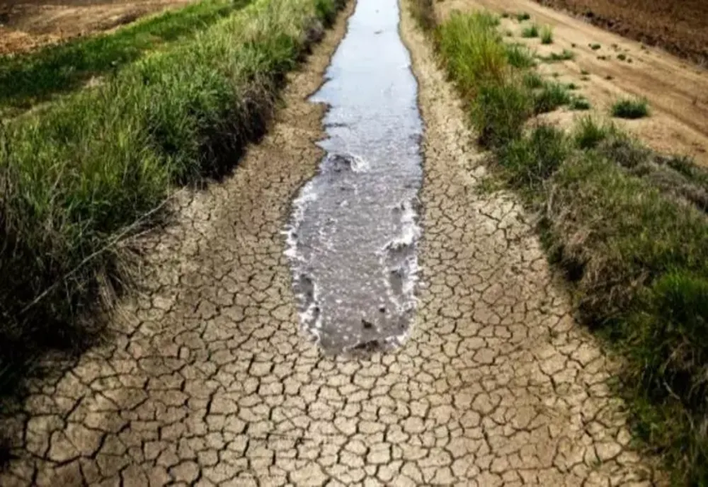 SECETA face ravagii: aproape 200.000 de hectare calamitate. Probleme la centrala de la Cernavodă