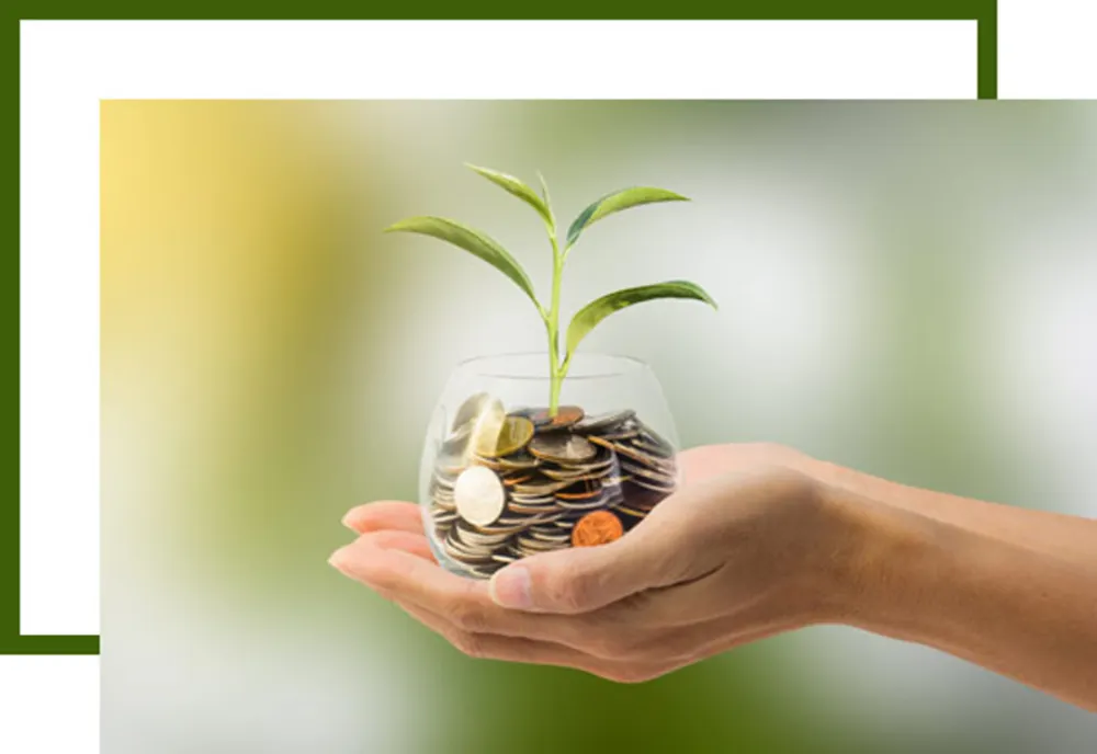 Lecție de educație financiară pentru elevii constănțeni, susținută de BNR