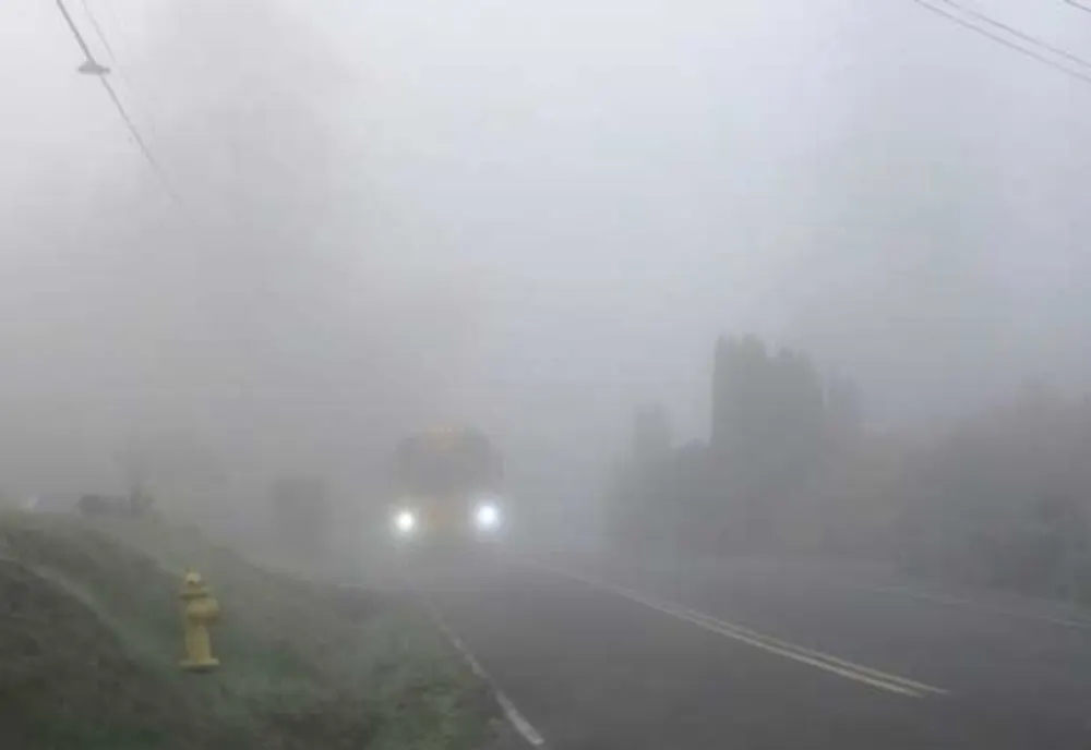 COD GALBEN de CEAȚĂ în județele Constanța și Tulcea