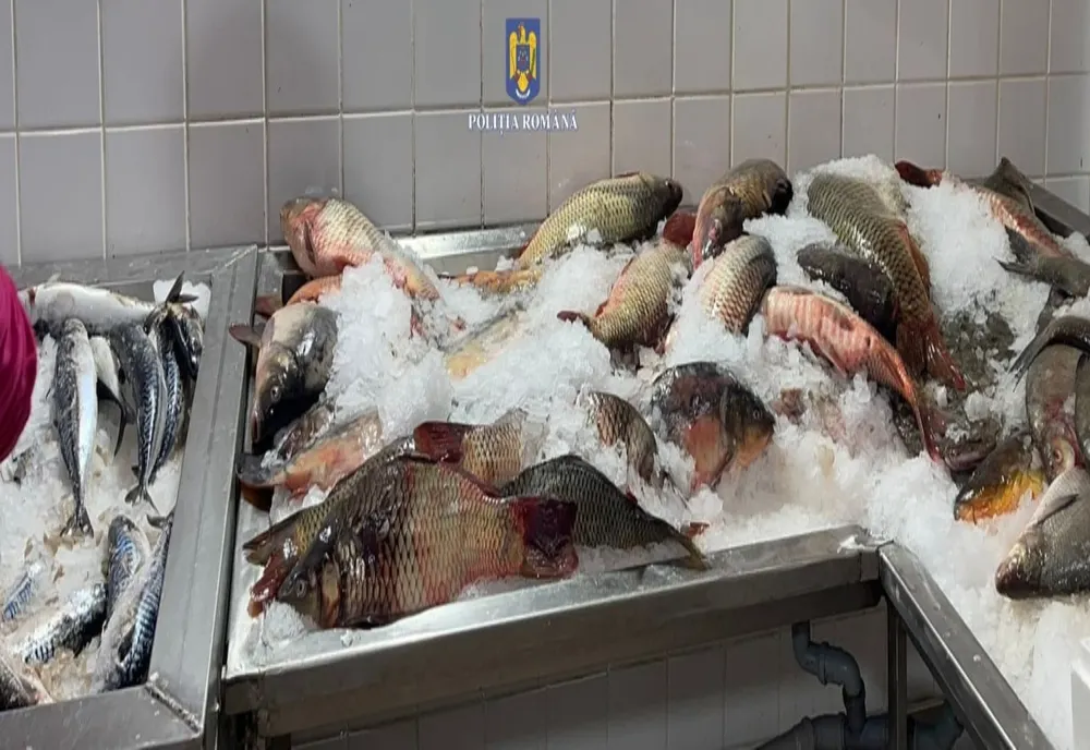 Record de amenzi pentru braconaj piscicol