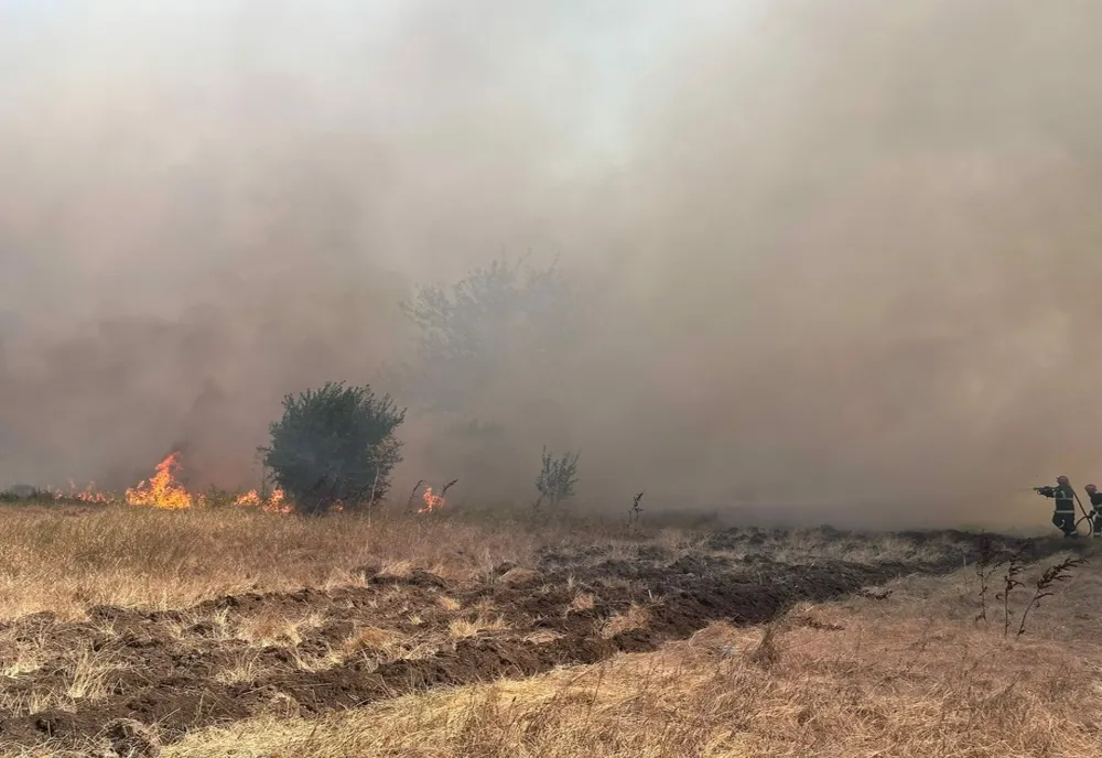 INCENDIU PUTERNIC DE VEGETAȚIE ÎN LOCALITATEA POARTA ALBĂ
