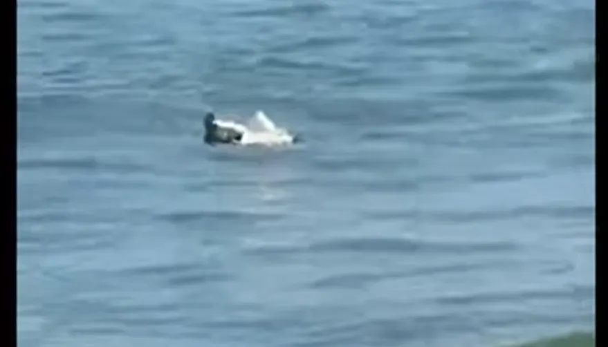 Bucată de dronă găsită în mare, la Mamaia, chiar lângă un club de fițe. SRI a trimis de urgență un echipaj