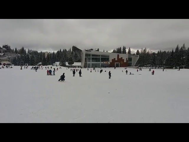 A fost emis primul ordin de protecție provizoriu într-o situație de violență în familie din județul Constanța