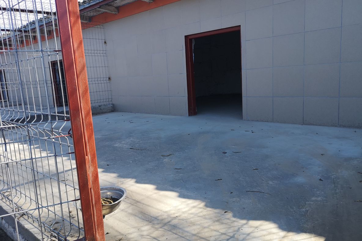 Adăpostul pentru câinii fără stăpân își reia activitatea