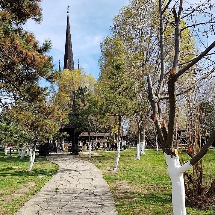 „Hrănește, rogu-te, de Paște, o familie săracă!”, campanie umanitară a Bisericii Sf. Mina