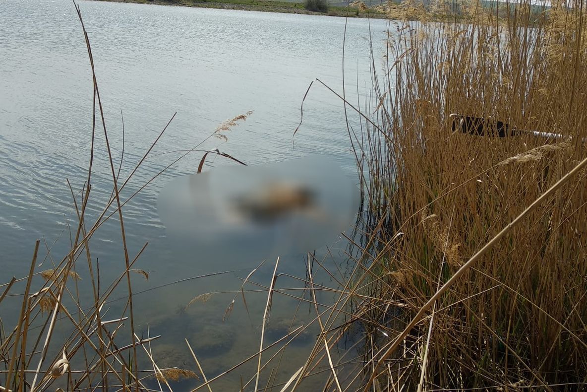 FOTO|Descoperire macabră în Canalul Dunăre - Marea Neagră