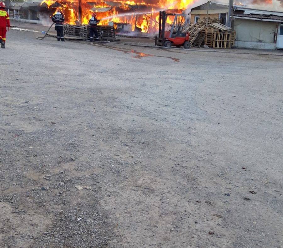 FOTO VIDEO| Incendiu de proporții în Constanța. Oborul de pe variantă s-a făcut scrum