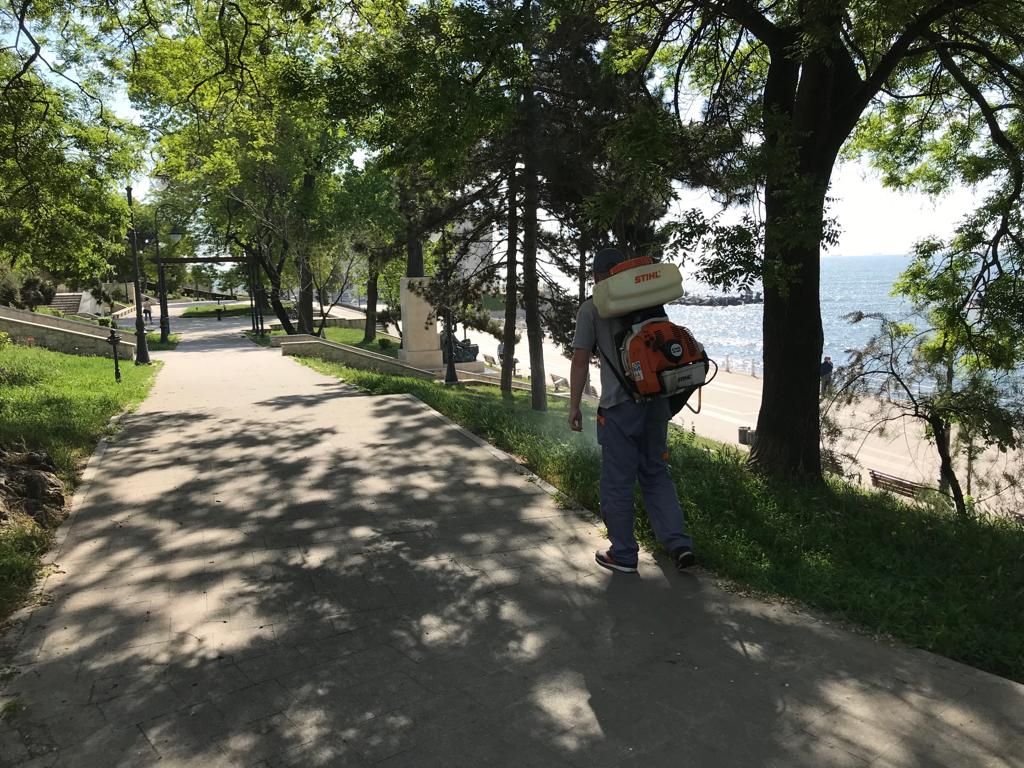 Continuă acțiunea de dezinsecție în municipiul Constanța