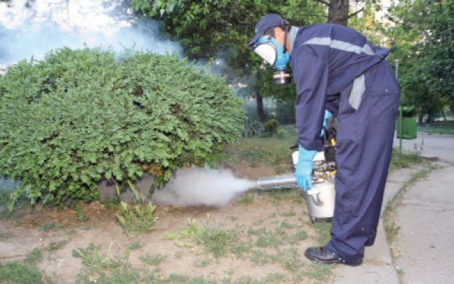 Acțiune de dezinsecție în municipiul Constanța