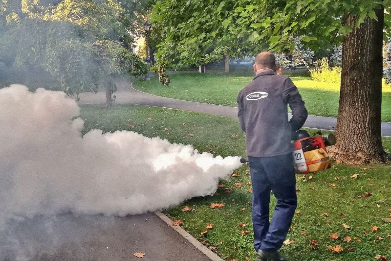 Continuă acțiunile de dezinsecție în municipiul Constanța