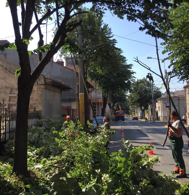 Continuă lucrările de igienizare şi cosit în cartierele din Constanța
