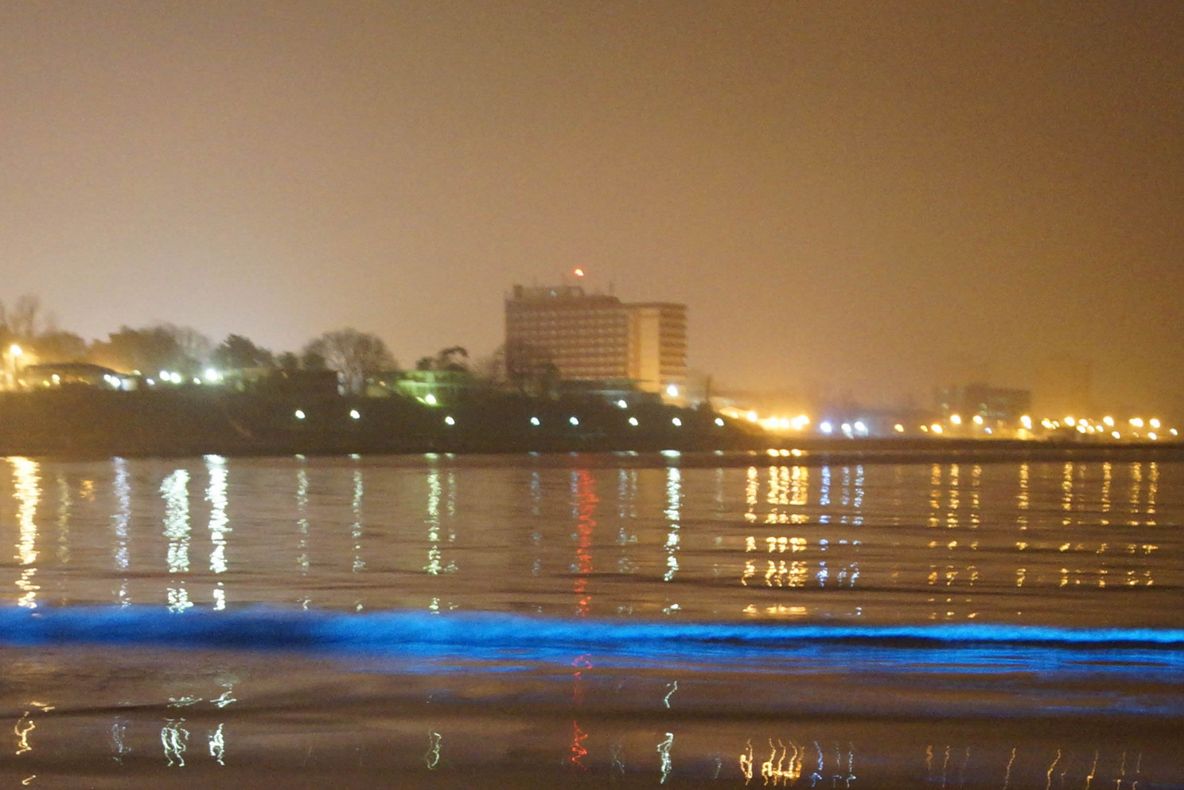 VIDEO| Marea a mai făcut o victimă, la Mangalia