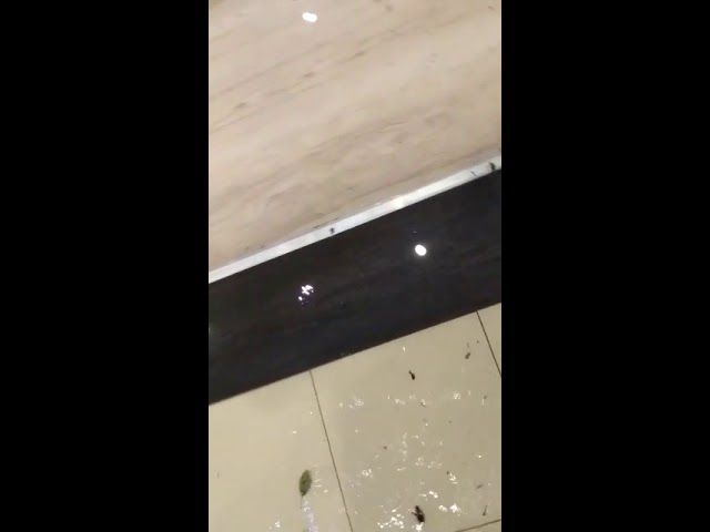 VIDEO|Ploaie torențială la Costinești. Camerele unui hotel inundate, turiști revoltați