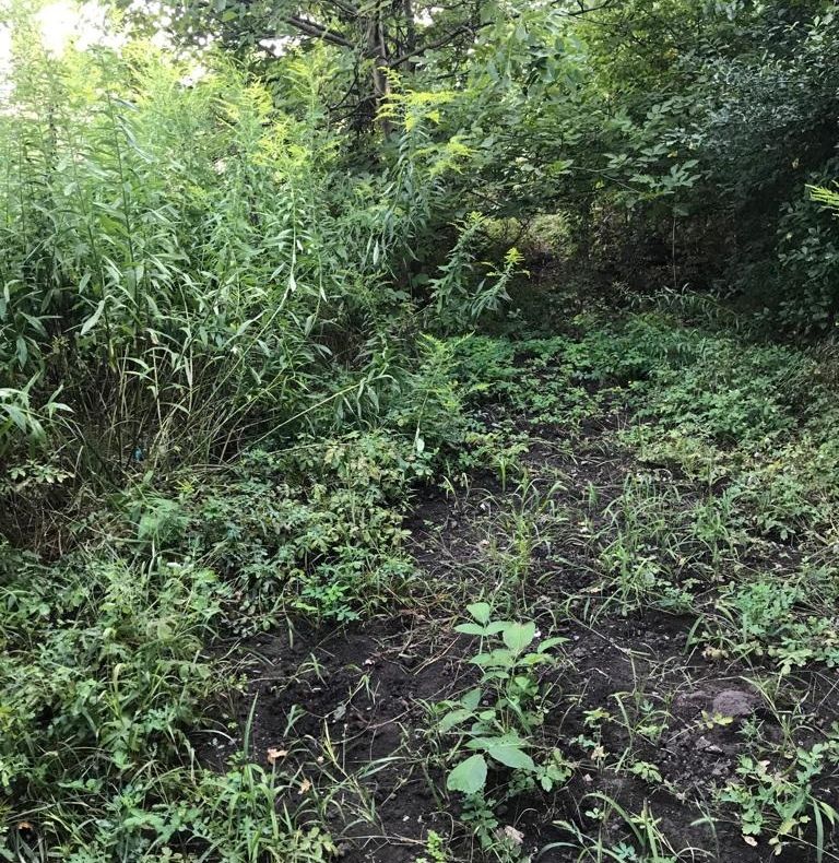 Mii de jucării contrafăcute, descoperite de polițiștii constănțeni