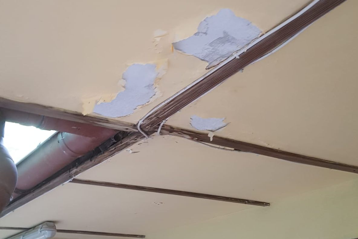 Tabăra Comorova Neptun, sancționată de Protecția Consumatorilor (VIDEO)