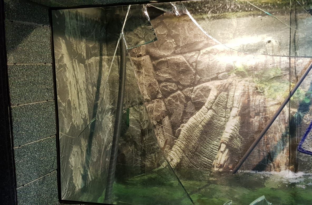 Adolescentă rănită după ce un geam de la un bazin al Acvariului din Constanța s-a spart