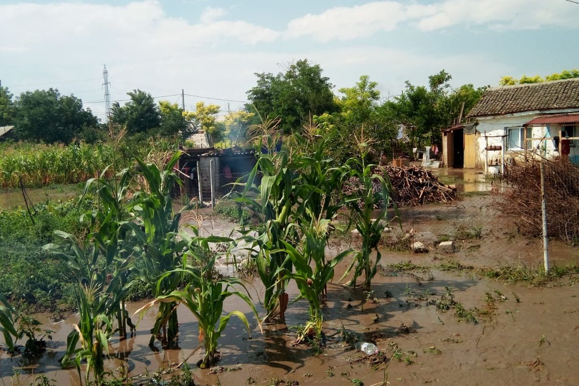 FOTO VIDEO| Ploaie torențială la Istria. Gospodării inundate