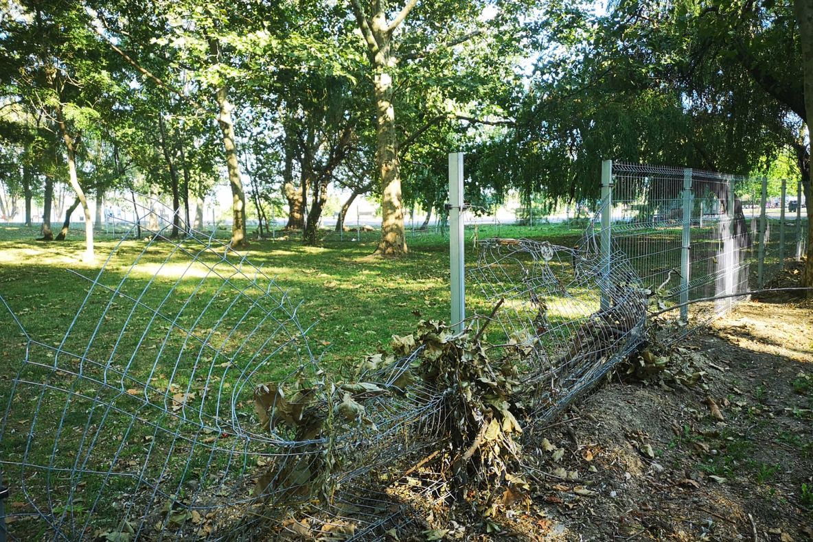 Țarcurile pentru câini din Parcul Tăbăcărie au fost vandalizate!