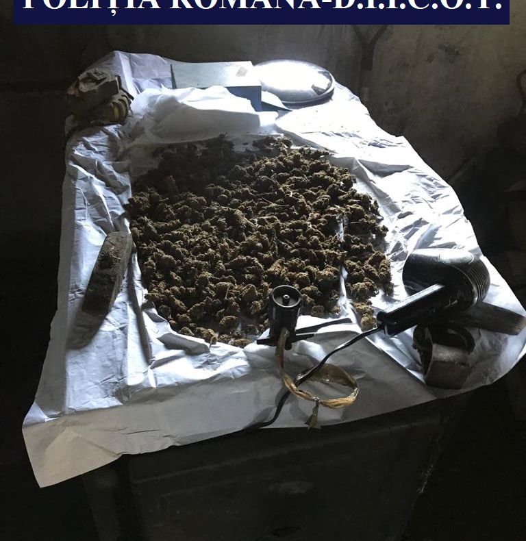 Constănțeni cercetați pentru trafic de minori, proxenetism și trafic de droguri