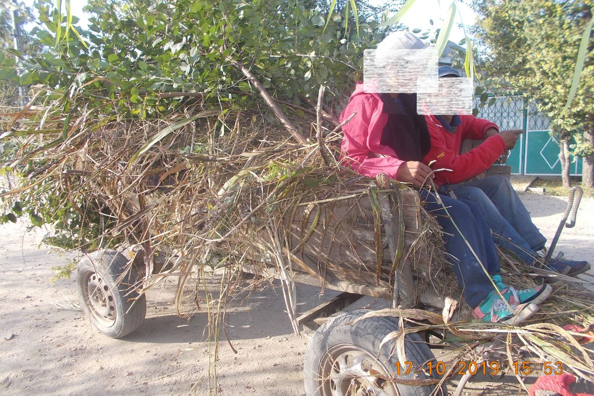 20 de milioane de euro pentru reabilitarea bulevardelor 1 Decembrie, Lăpușneanu și Aurel Vlaicu