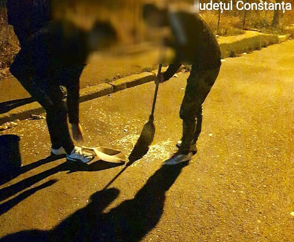 Polițiștii locali, în război cu spărgătorii de semințe