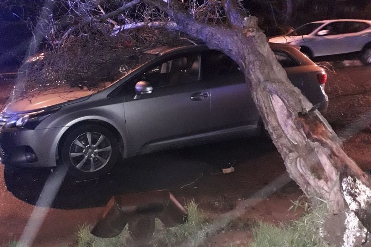 Un copac a fost doborât de vânt peste o mașină; înăuntru se afla un copil de doi ani