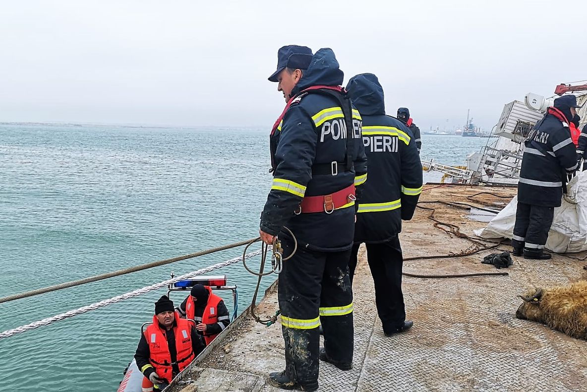 Autoritățile vor face decupaje în corpul navei răsturnate în Portul Midia pentru a scoate mai ușor oile rămase în viață