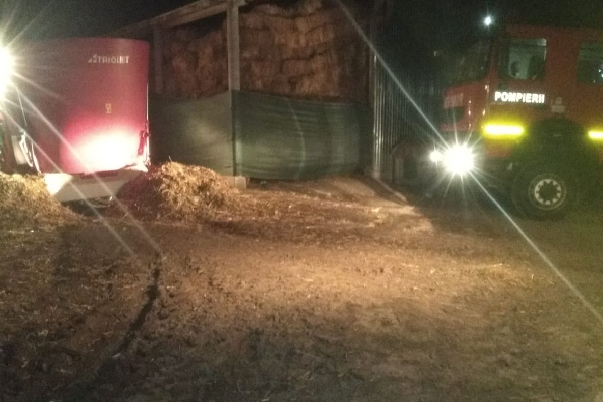 VIDEO| Șocant! Și-a găsit sfârșitul într-un mod cumplit