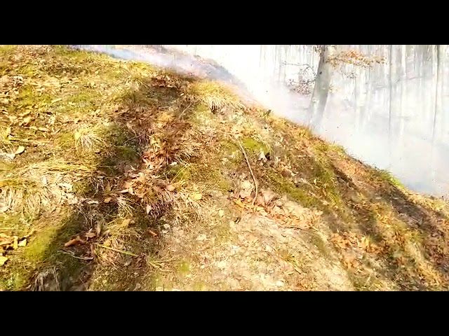 Marinarii militari intervin pentru salvarea unei nave-împingător cuprinsă de flăcări (video)