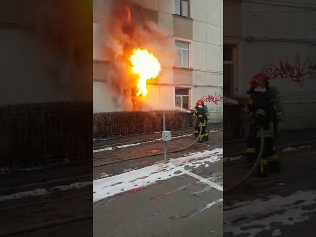 VIDEO| Incident cu pisici la Spitalul Județean Constanța