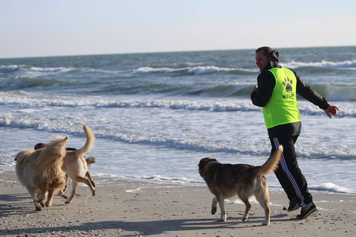  Parteneriat patruped în sportul miltar