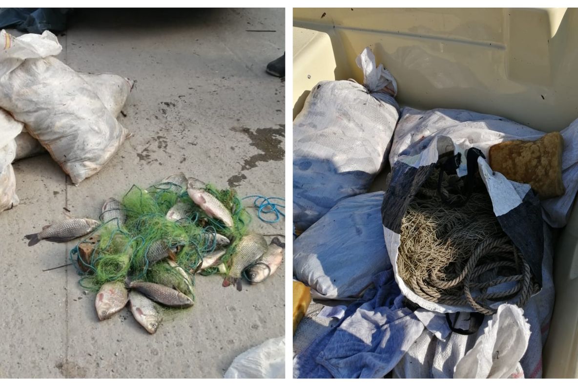 Ce au descoperit polițiștii de frontieră la doi braconieri