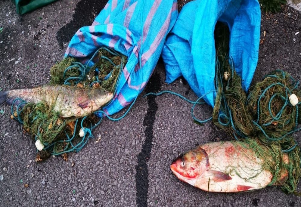 Depistat la pescuit cu unelte interzise de lege, pe malul canalului Dunăre -Marea Neagră