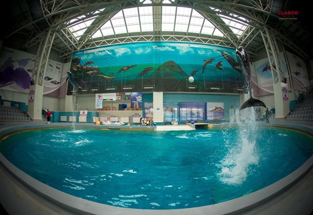 Delfinariul, Acvariul, Teatrul de Stat şi Teatrul pentru Copii se închid