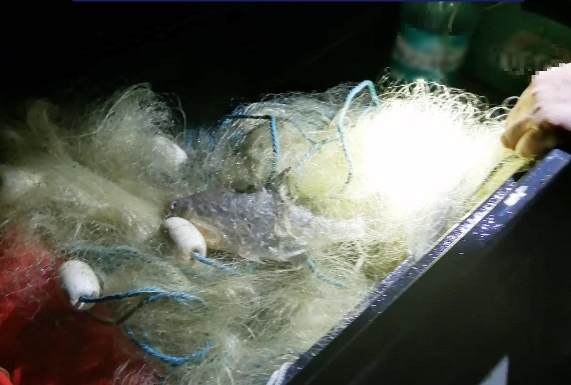 În plină pandemie de coronavirus, braconier prins în flagrant