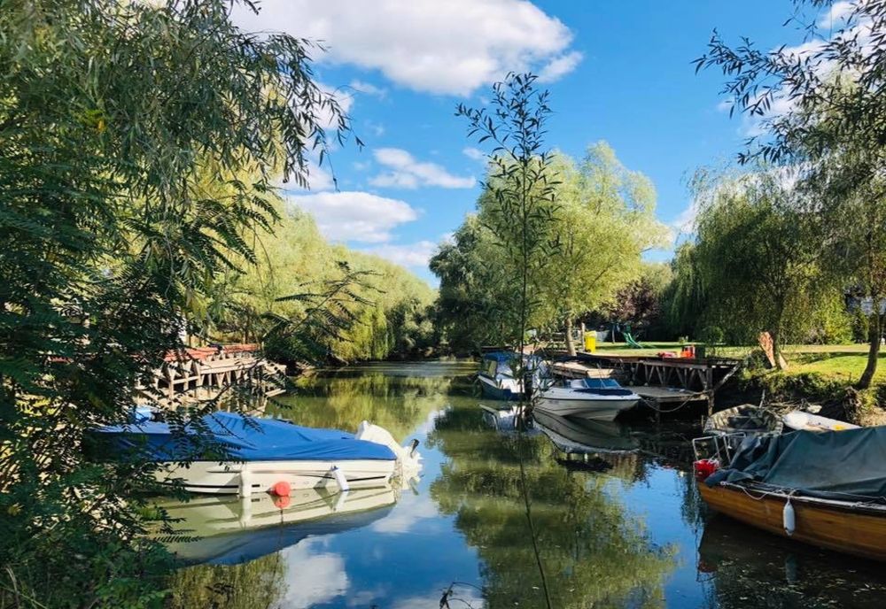 FOTO | Delta Dunării, destinație pentru turiștii care își doresc o vacanță în natură post-pandemie