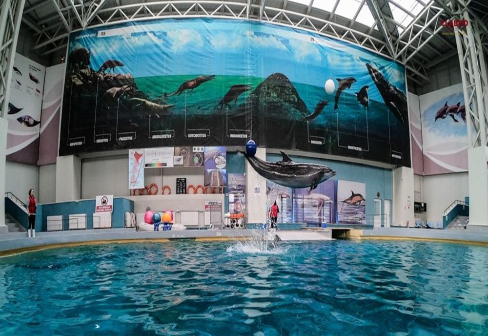 Cu mască la Delfinariu și Acvariu, fără mască în Microrezervație