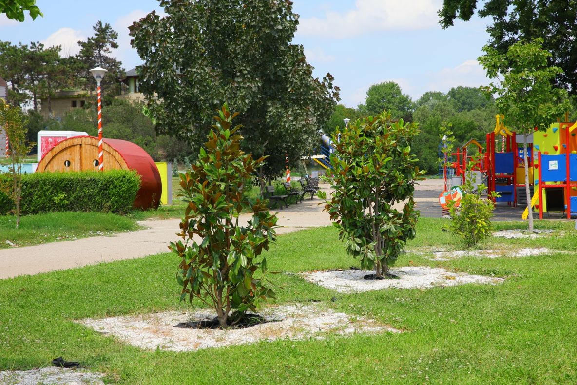 Țara Piticilor se redeschide. Accesul vizitatorilor, în serii