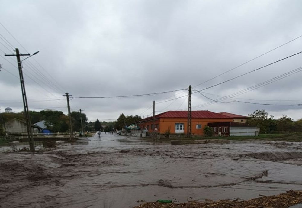 Gospodării inundate în satul Credința