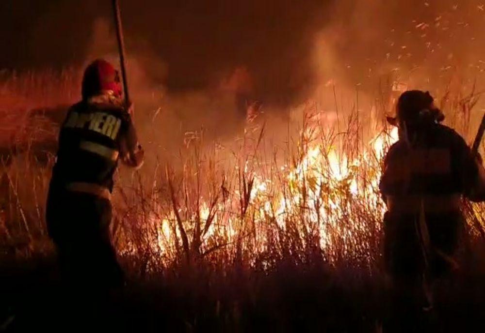 FOTO VIDEO| Incendiu violent la Vadu. Au ars 400 de ha de vegetație uscată