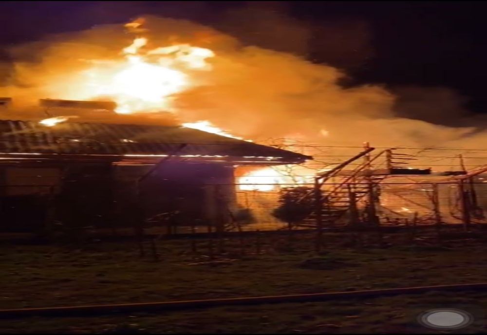 VIDEO Incendiu puternic în Vama Veche.Autoritățile în alertă