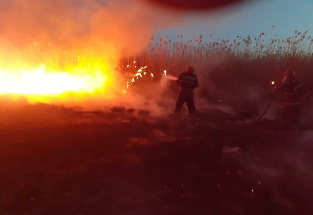 FOTO  Incendiu violent de vegetație uscată și stuf
